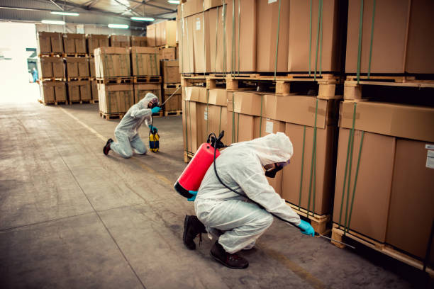 Best Pest Control Near Me  in Portland, ME