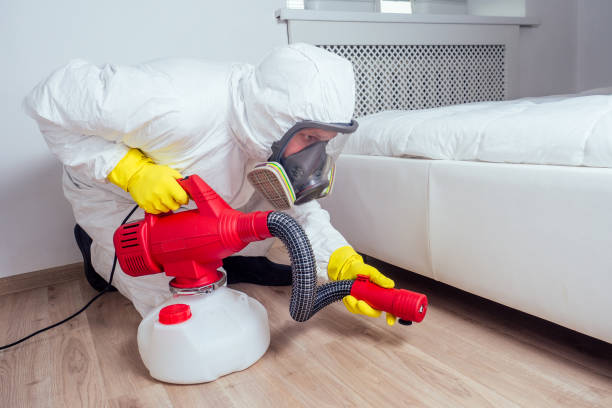 Best Best Pest Control Companies  in Portland, ME