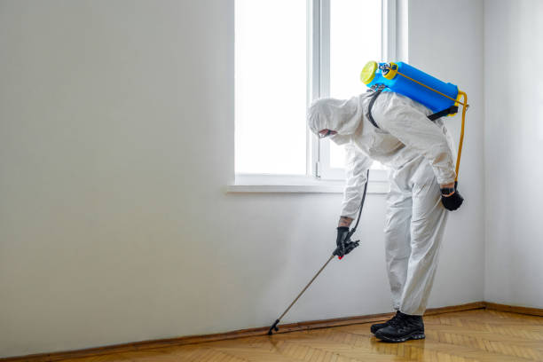 Best Rat Extermination Near Me  in Portland, ME