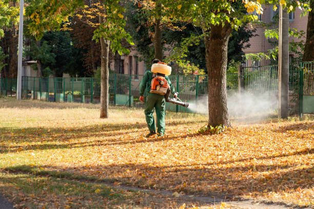 Best Residential Pest Control  in Portland, ME