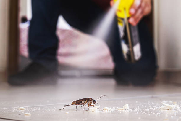 Best Pest Inspection Near Me  in Portland, ME