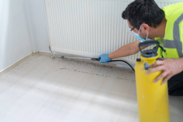 Best Mosquito Control Services  in Portland, ME