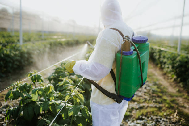 Best Local Pest Control Services  in Portland, ME